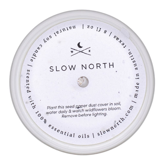 Slow North Twilight | Jasmine + Orange + Sandalwood | Frosted Candle, 8 oz - lily & onyx