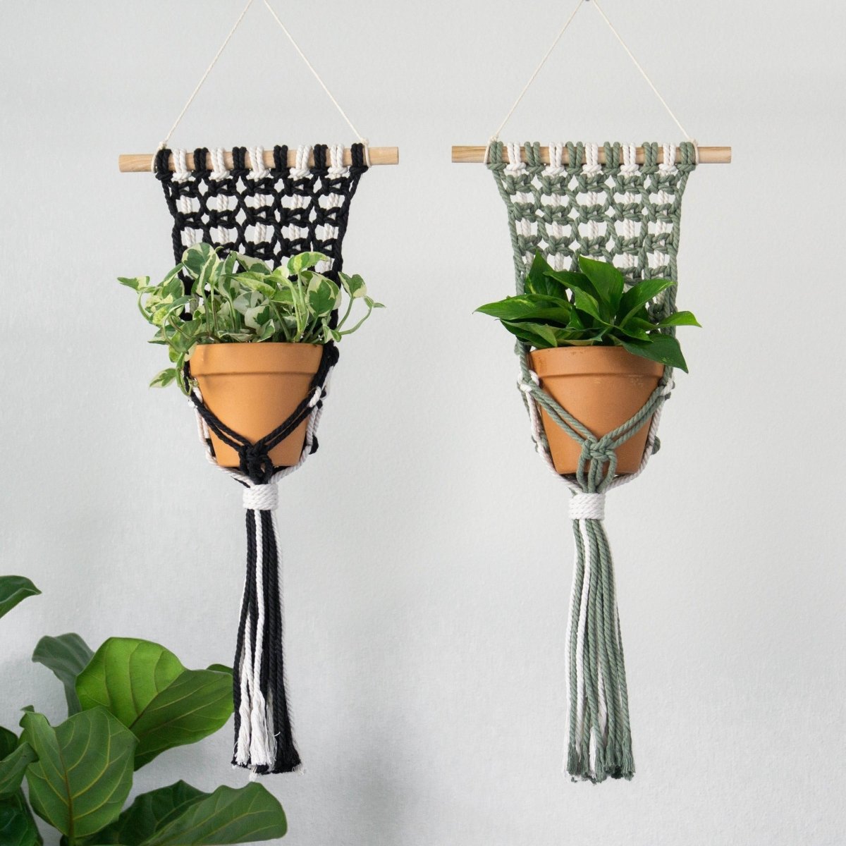 I Would Rather Knot Two Tone Single Plant Hanger - lily & onyx