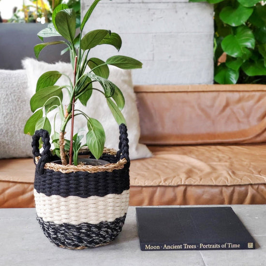 KORISSA Ula Stripe Basket, Black - lily & onyx