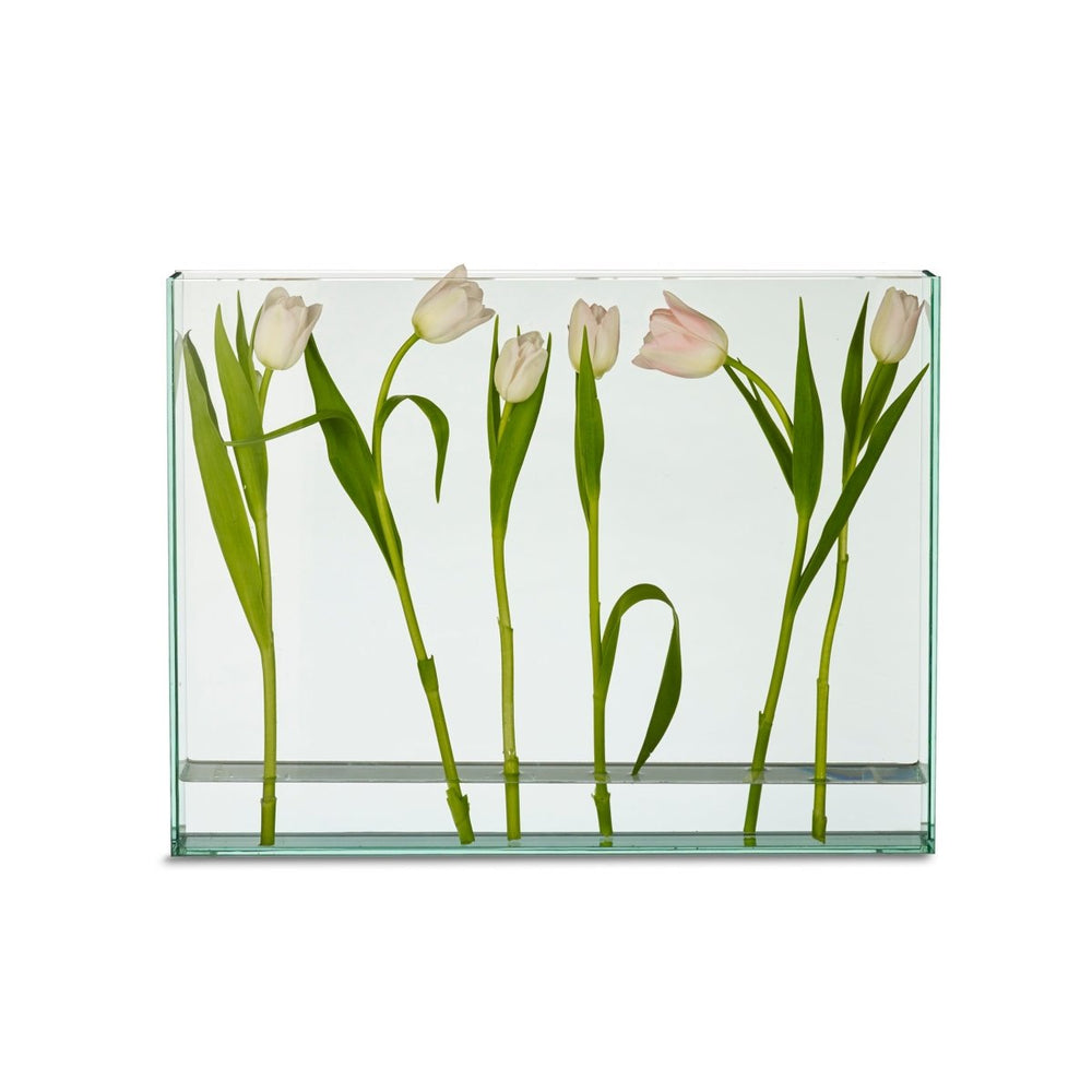 
                      
                        texxture Vision™ Glass Vase - lily & onyx
                      
                    