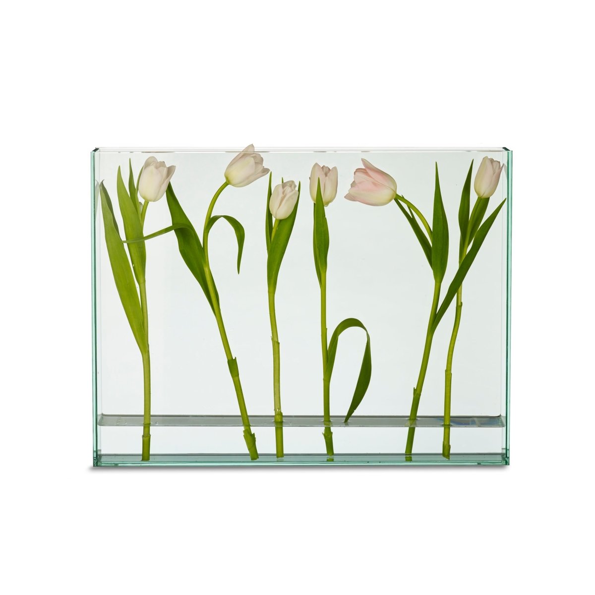 texxture Vision™ Glass Vase - lily & onyx