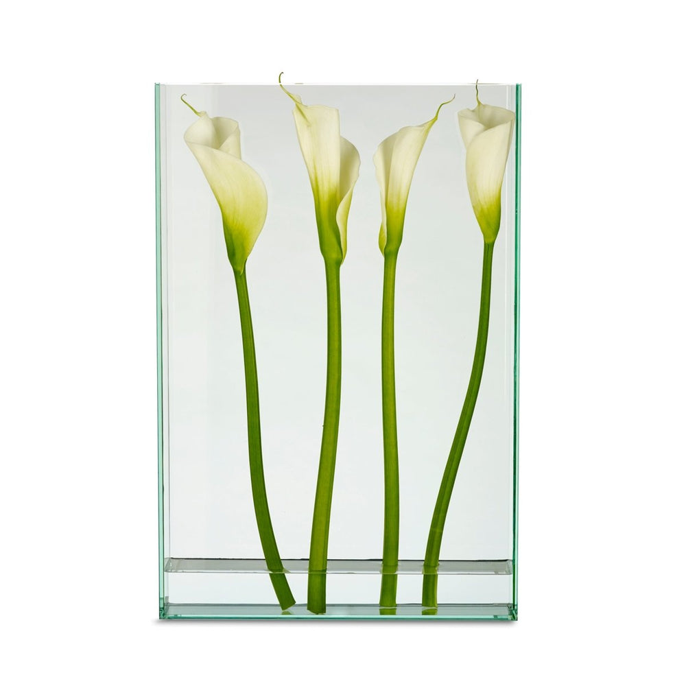 texxture Vision™ Glass Vase - lily & onyx