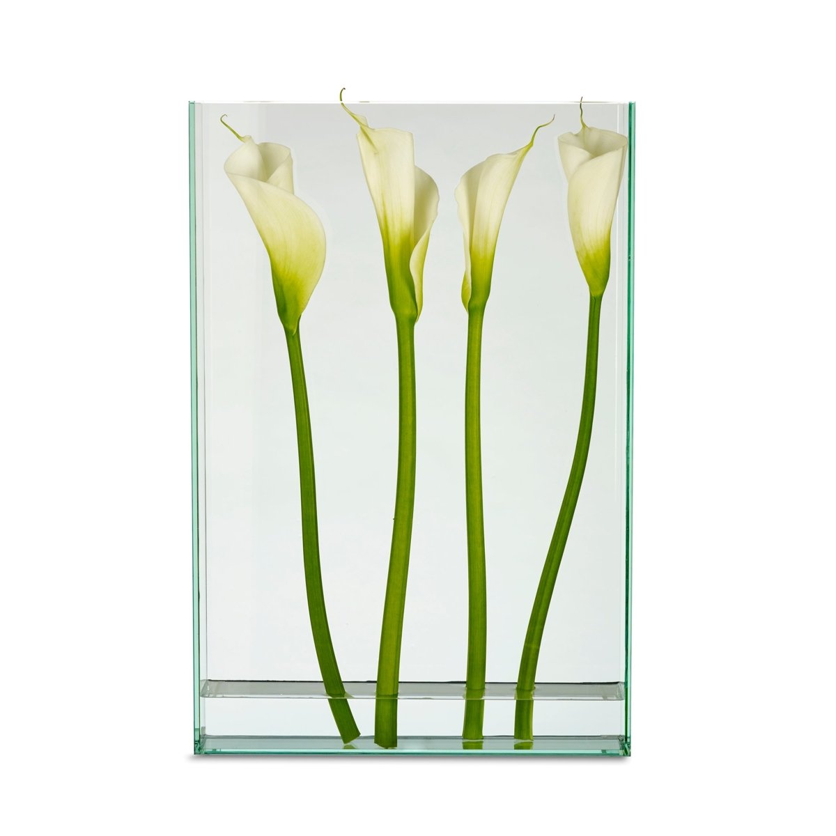 Load image into Gallery viewer, texxture Vision™ Glass Vase - lily &amp;amp; onyx
