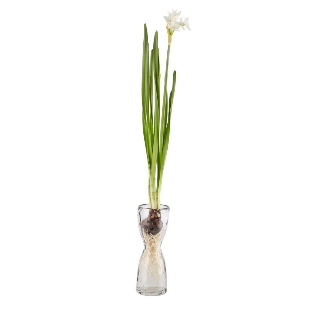 
                      
                        texxture Wabisabi Bulb Forcer Vase - lily & onyx
                      
                    