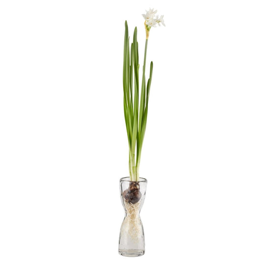 texxture Wabisabi Bulb Forcer Vase - lily & onyx
