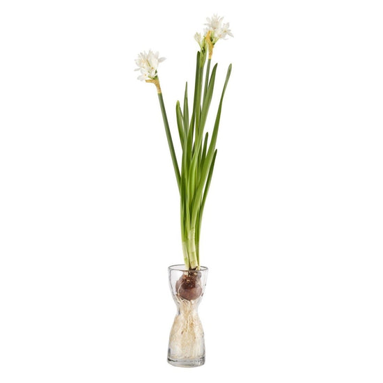 texxture Wabisabi Bulb Forcer Vase - lily & onyx