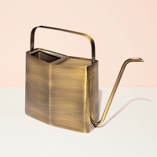 Modern Sprout Watering Can - lily & onyx