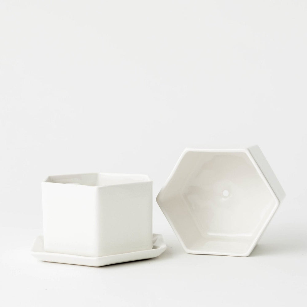
                      
                        CONVIVIAL White Hexagon Planter, 6" - lily & onyx
                      
                    