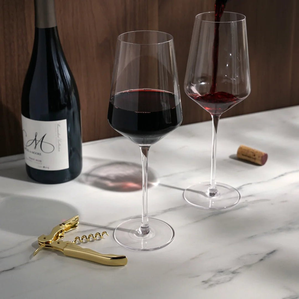 Viski Wine Glass & Corkscrew Box Set - lily & onyx