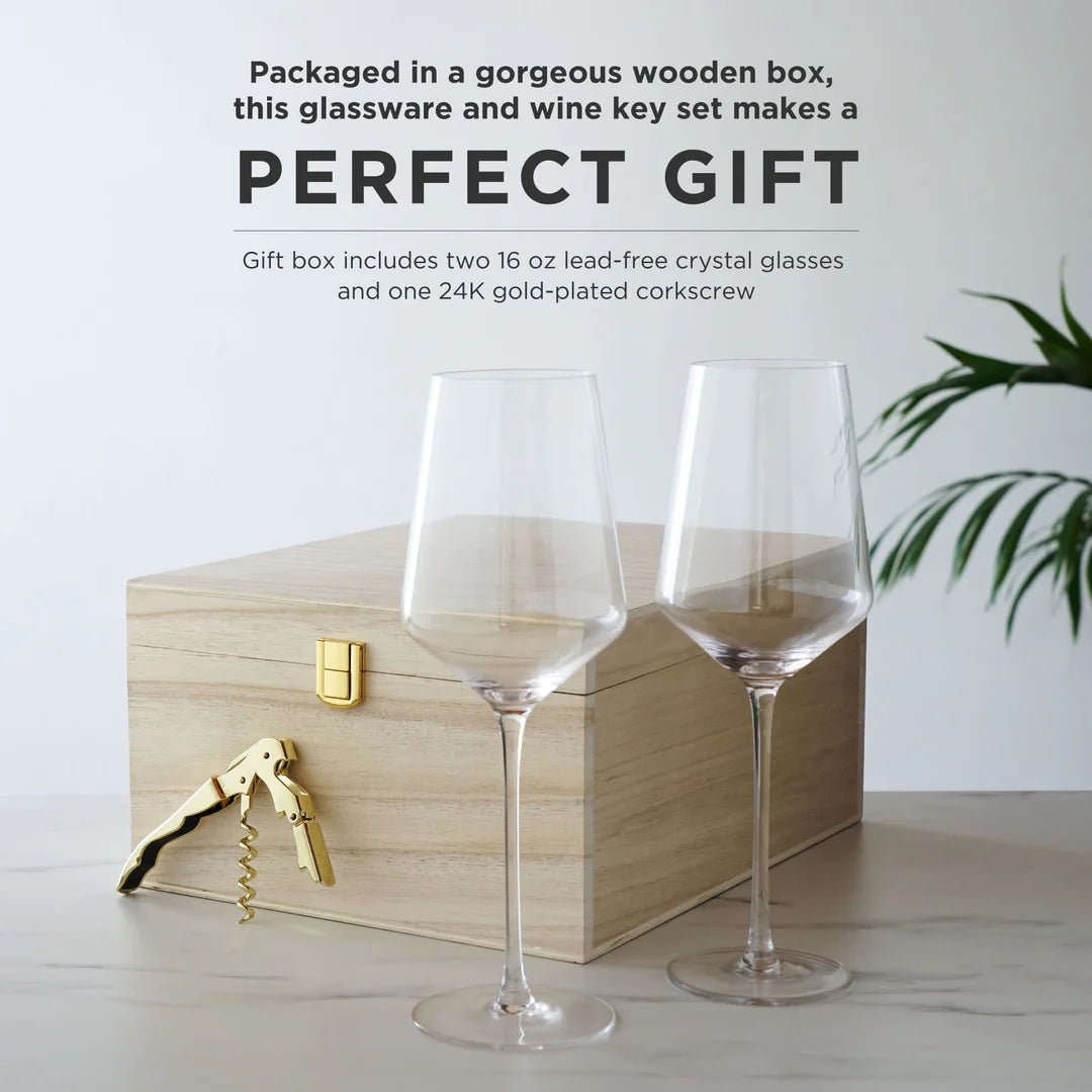 Viski Wine Glass & Corkscrew Box Set - lily & onyx