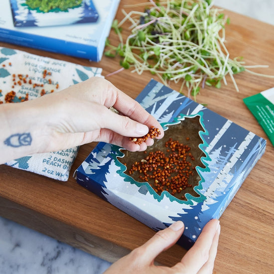 Load image into Gallery viewer, Modern Sprout Winter Wonderland Microgreens Kit - lily &amp;amp; onyx
