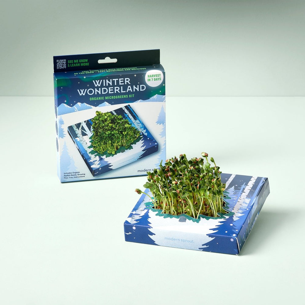 
                      
                        Modern Sprout Winter Wonderland Microgreens Kit - lily & onyx
                      
                    