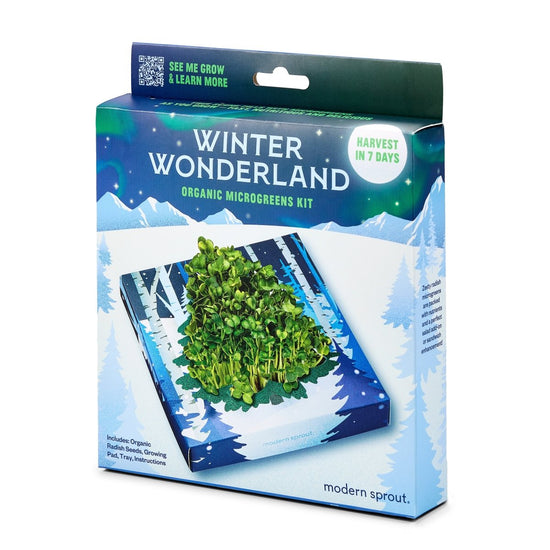 Modern Sprout Winter Wonderland Microgreens Kit - lily & onyx